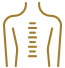 Robotic Spine Surgery.
