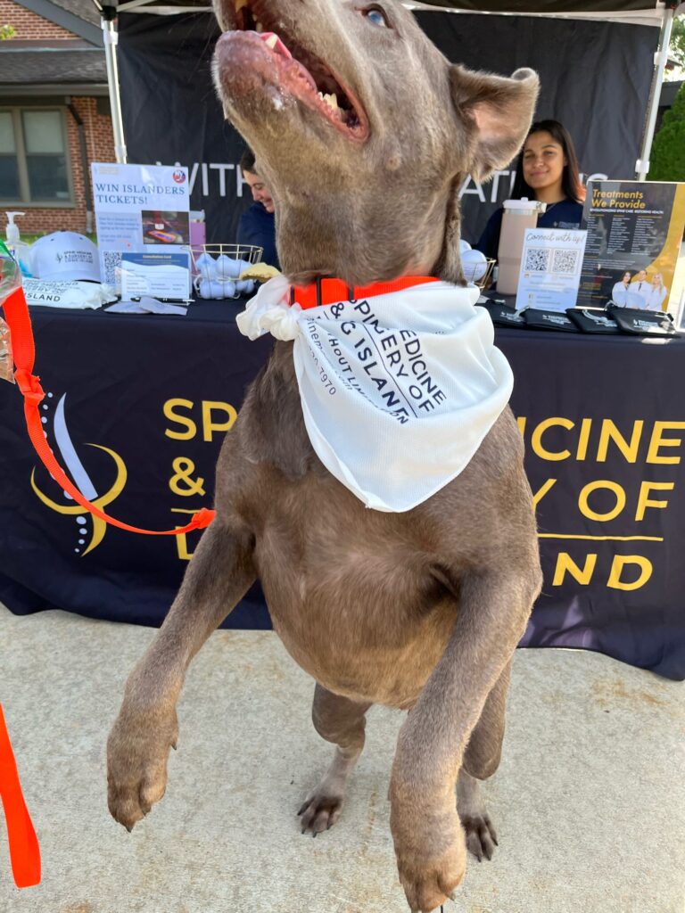 original-EEEB3562-5B43-4382-8C38-7E26BA5682D8 Spine Medicine & Surgery of Long Island team at the America’s VetDogs 5K & Dog Walk in Smithtown.